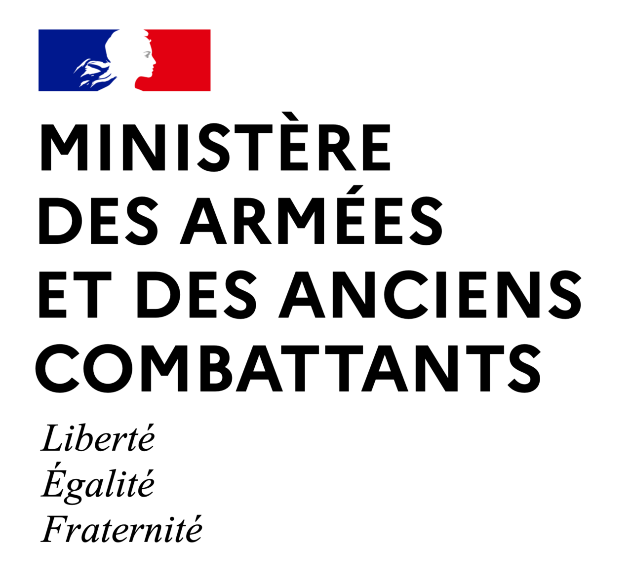 logo Ministère_des_Armées_et_des_Anciens_Combattants